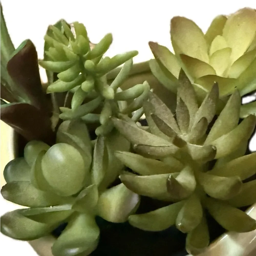 Faux Hanging Succulent Plant Wall Decor Green White Yellow Cactus Planter
